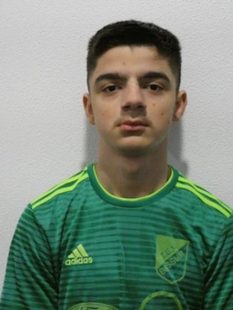 Avatar Bild für Ibrahim Gashi