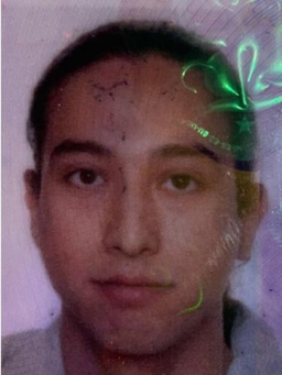 Avatar Bild für Hashem Ramezani