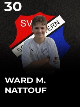 Avatar Bild für Mohamad Ward Nattouf