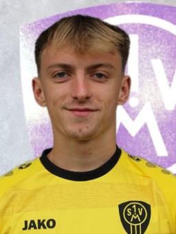Avatar Bild für Janik Scheiermann