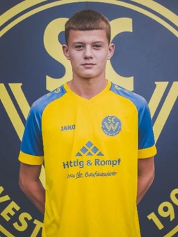 Avatar Bild für Luis Sinkiewicz