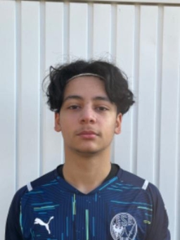 Avatar Bild für Amirali Asghari Chehreh