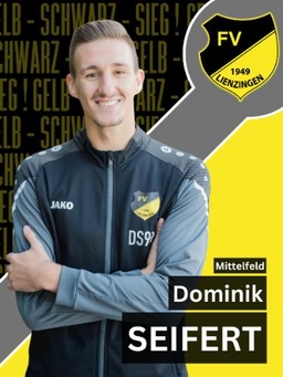 Avatar Bild für Dominik Seifert