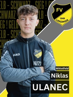 Avatar Bild für Niklas David Ulanec