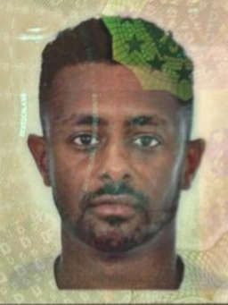 Avatar Bild für Henok Josef
