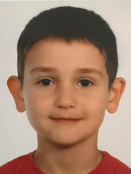 Avatar Bild für Ervin Mammadov