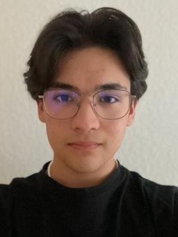 Avatar Bild für Mehdi Hossaini