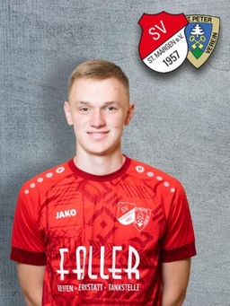 Avatar Bild für Luis Saier
