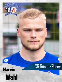 Avatar Bild für Marvin Wahl