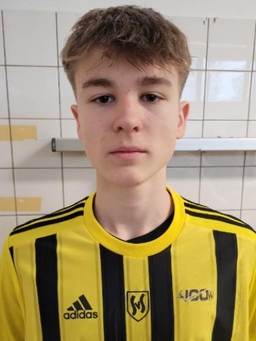 Avatar Bild für Niklas Wahl