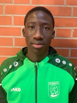 Avatar Bild für Serigne Fallou Sylla