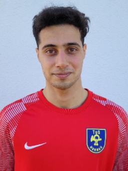 Avatar Bild für Amireza Passalar
