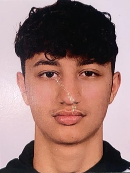 Avatar Bild für Aras Hussein