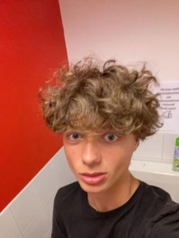 Avatar Bild für Tom Hergt