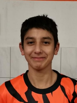 Avatar Bild für Ali Sarwari