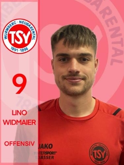 Avatar Bild für Lino Widmaier