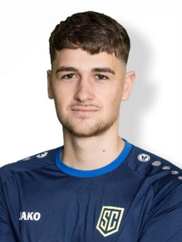 Avatar Bild für Dario Gerling