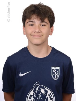 Avatar Bild für Max Steiniger