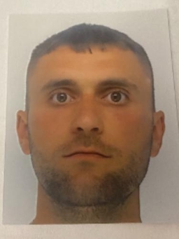 Avatar Bild für Nicolai Verejan