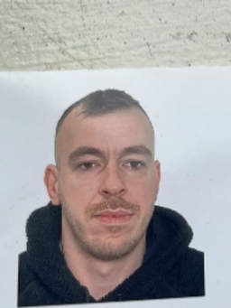 Avatar Bild für Dennis Pit Paetz