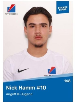 Avatar Bild für Nick Hamm