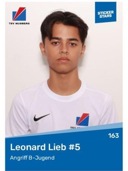 Avatar Bild für Leonard Lieb
