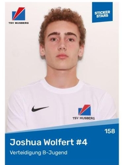 Avatar Bild für Joshua Wolfert