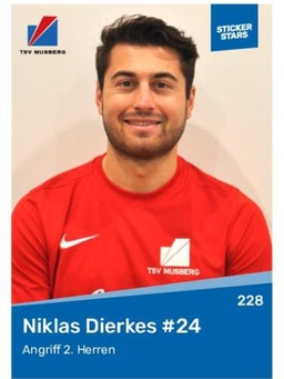 Avatar Bild für Niklas David Dierkes