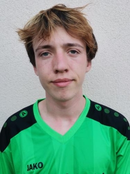 Avatar Bild für Louis Emil Ronan Bourdais