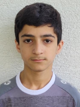 Avatar Bild für Farzad Baqaeey