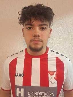 Avatar Bild für Paolo Gullo