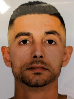 Avatar Bild für Damiano Perra