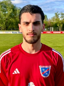 Avatar Bild für Luigi Del Sorbo