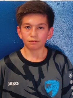 Avatar Bild für Taha Jafari