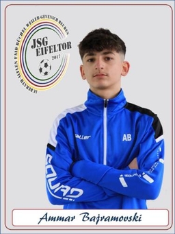 Avatar Bild für Ammar Bajramovski