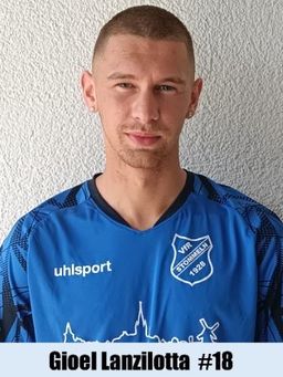 Avatar Bild für Gioel Lanzillotta