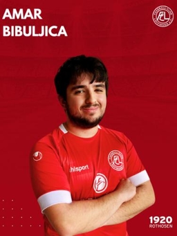 Avatar Bild für Amar Bibuljica