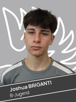 Avatar Bild für Joshua Briganti