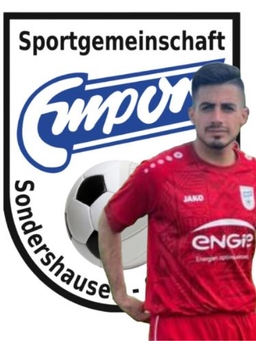 Avatar Bild für Reza Malekshahi