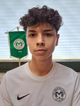 Avatar Bild für Rafet Karapinar