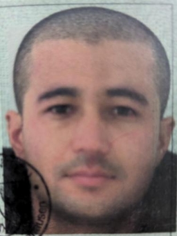Avatar Bild für Shir Ahmad Hajizadah
