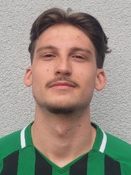 Avatar Bild für Luis Staehle