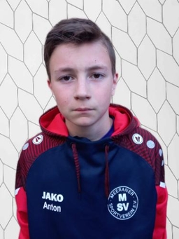 Avatar Bild für Anton Trabitz