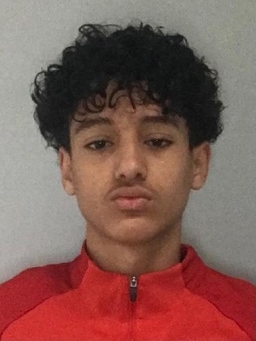 Avatar Bild für Eliyas Hassani