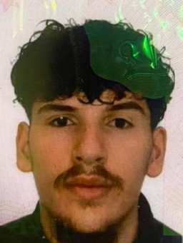 Avatar Bild für Ronik Hysejni