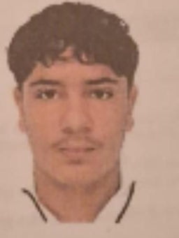 Avatar Bild für Alesandro Terranova