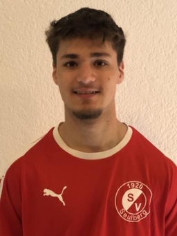 Avatar Bild für Dominic Chapuis