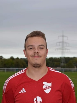 Avatar Bild für Niko Hansmann