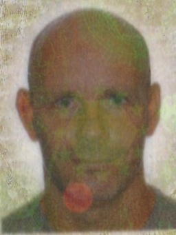 Avatar Bild für Nico Fleischer