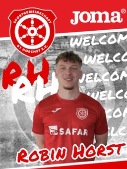 Avatar Bild für Robin Horst